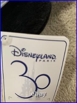 BNWT Disneyland Paris Mickey & Minnie Mouse 30th Anniversary Medium Soft Plushes
