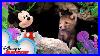 Burrows_Disney_Animals_Mickey_Mouse_Funhouse_Disney_Junior_01_qh