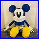 Coach_Disney_Mickey_Mouse_Keith_Haring_Medium_Collectible_Doll_plush_C7118_h40_01_lwdb