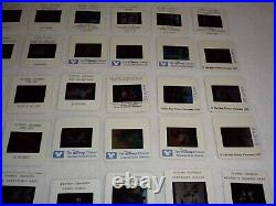 Disney Authentic (63) Huge Photo Slide Lot Shows Mickey Mouse Club & Cartoons