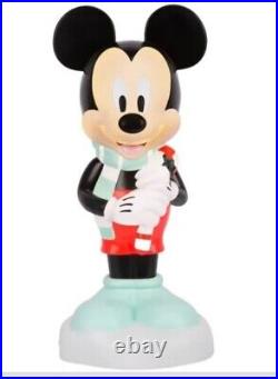 Disney Mickey Mouse & Friends Mickey Mouse 24 Lit Blow Mold Decorative