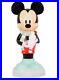 Disney_Mickey_Mouse_Friends_Mickey_Mouse_24_Lit_Blow_Mold_Decorative_01_nes