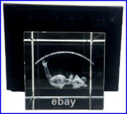 Disney Parks Arribas Brothers Walt Disney & Mickey Mouse Laser Etched Cube