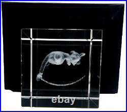 Disney Parks Arribas Brothers Walt Disney & Mickey Mouse Laser Etched Cube
