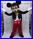 Halloween_Mickey_Mouse_Mascot_Costume_Party_Adult_Birthday_ship_priority_mail_01_twbb