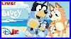 Live_Bluey_Full_Episodes_New_Episodes_Added_Keepy_Uppy_Sleepytime_And_More_Disneyjr_01_iay