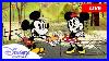 Live_Disney_S_Mickey_Mouse_Shorts_New_Livestream_Season_1_Disneychannel_01_jdzb