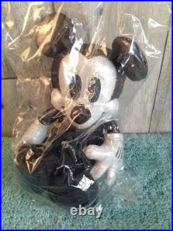 Mickey & Minnie Mouse Disney Mickey & Minnie Mouse Disney