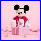 Mickey_Minnie_Mouse_Sweetheart_2026_Medium_Soft_Toy_Love_Gift_Set_01_jwax