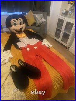 Minnie Mouse And Mickey Mouse Mascot Costumes