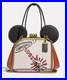 NEW_Coach_Disney_Mickey_Mouse_X_Keith_Haring_Kisslock_Bag_4719_B4_chalk_1941_NWT_01_hzu