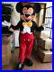 New_Profes_Mickey_or_Minnie_Mouse_Red_or_Pink_Mascot_costume_party_costume_01_vrph