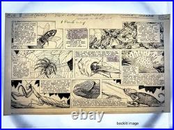 Original 1953 Disney Mickey Mouse Weekly Comic Art Basil Reynolds True Life