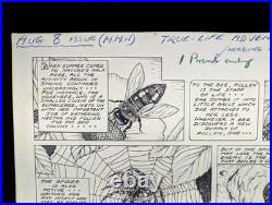 Original 1953 Disney Mickey Mouse Weekly Comic Art Basil Reynolds True Life Original 1953 Disney Mickey Mouse Weekly Comic Art Basil Reynolds True Life