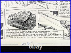 Original 1953 Disney Mickey Mouse Weekly Comic Art Basil Reynolds True Life