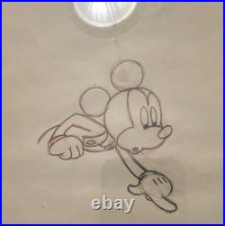 Original Disney Mickey Mouse Mickey's Elephant Animation Sketches #28,105 1936