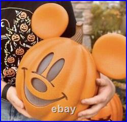 Pottery Barn Kids Disney Mickey Mouse Pumpkin Luminary Halloween FREE SHIPPING
