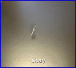 Tokyo Disney Resort Exclusive Mickey Mouse Boys' Day Display