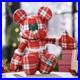 o_Disney_Cardmember_Exclusive_2025_Mickey_Mouse_Holiday_Plaid_Plush_NEW_o_01_ejr